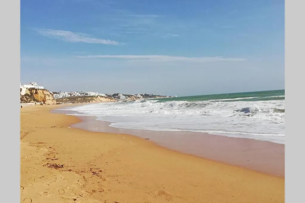 Holiday home Vivenda Nespera, Santa Margarida, Cly-43-6P-Alte Villa