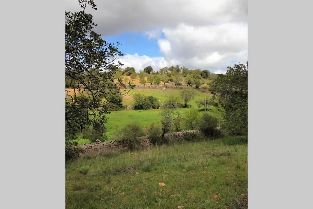 Vivenda Nespera, Santa Margarida, Cly-43-6P-Alte Villa Holiday home